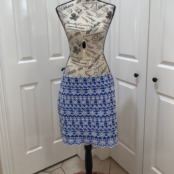 NEW $80 Loft Embroidered Shift Skirt w lining - Picture 2 of 8